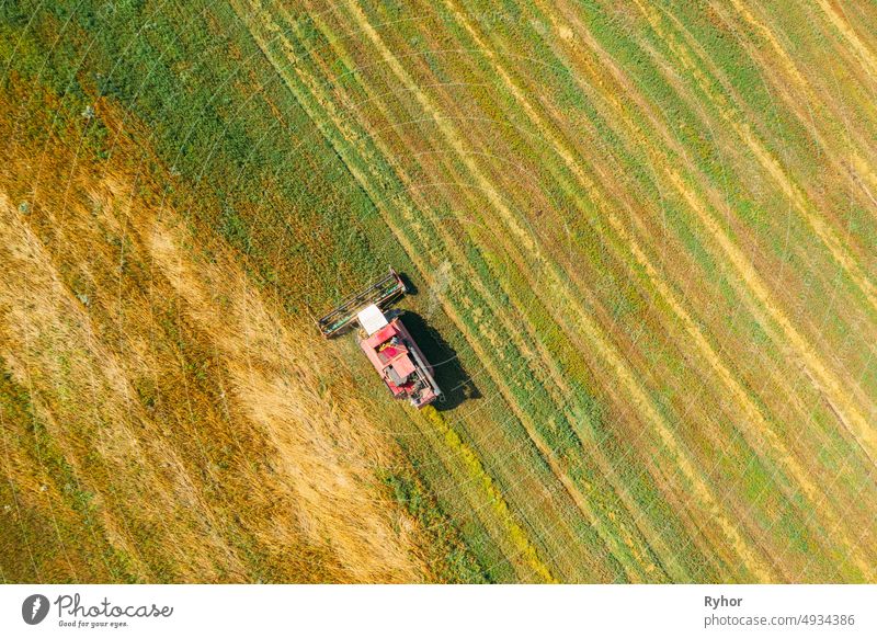 Luftaufnahme einer ländlichen Landschaft. Mähdrescher arbeitet im Feld, sammelt Samen. Ernte von Weizen im Spätsommer. Landwirtschaftliche Maschine Sammeln Golden Ripe. Vogelperspektive Drohne Ansicht