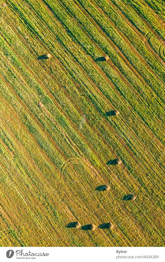 Luftaufnahme von Sommer Feld Landschaft mit mit trockenen Heuballen während der Ernte. Trails Lines auf Ackerland. Top View Landwirtschaftliche Landschaft. Drone Ansicht. Vogelperspektive