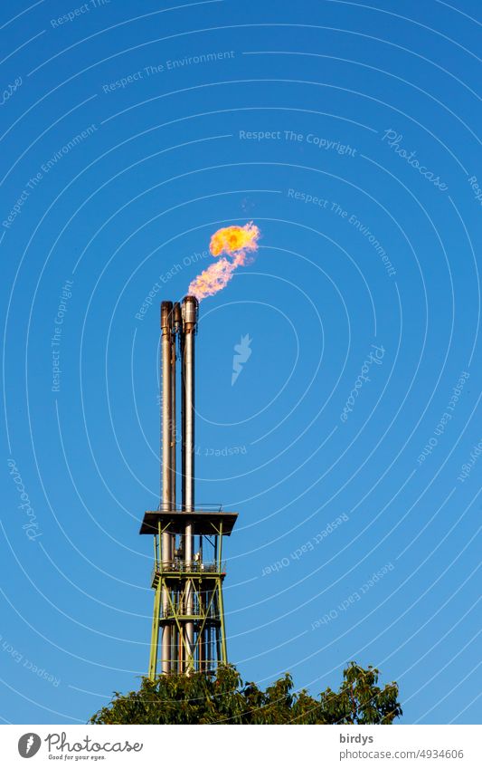 Abfackeln von Gas. Gas wird in einer Industriefackel abgefackelt Gaspreis Gaskrise Russland Heizkostenanstieg abfackeln Flamme Feuer teuer Energie Klimawandel