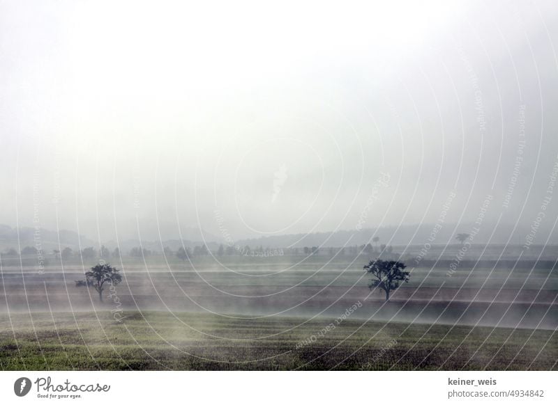 Nebel über Landschaft mit Bäumen und Acker im Herbst Bodennebel Dunst Sonnenlicht Frühtau Obstbäume Streuobstwiese Ackerland Wiese Morgenstunde morgens früh