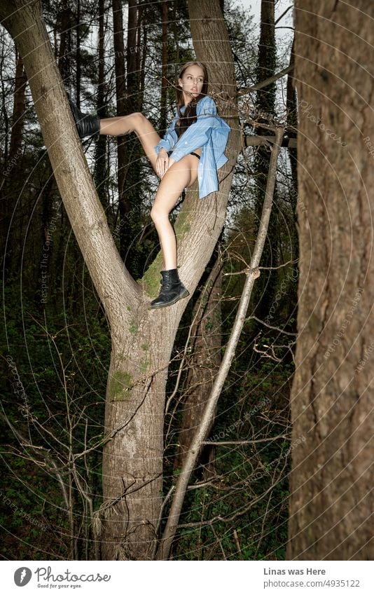 Ein wilder Wald mit einem Mädchen oben in einem Baum. Zeigt ihre schönen langen Beine mit einigen feinen schwarzen Dessous, schwarze Stiefel, und ein blaues Hemd. Eine schöne und sinnliche Frau mit ihren perfekten Kurven in der Wildnis.