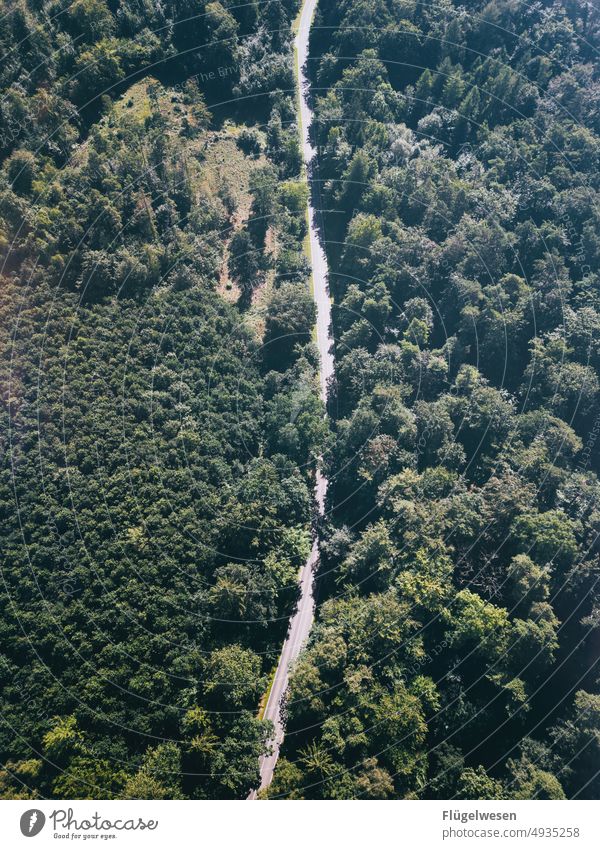 Waldstraße Straße straßenverkehr Straßenrand Straßenmarkierung Waldboden Bäume Vogelperspektive Luftbild