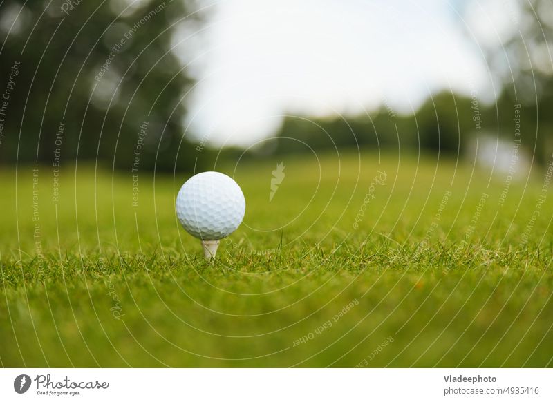 Golfball auf dem Abschlag, bereit zum Spielen Ball Sport grün im Freien Gras Club T-Stück Kurs Freizeit Erholung Aktivität Sommer Fairway Gerät Rasen spielen