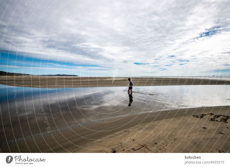 fernweh Reflexion & Spiegelung Spiegelung im Wasser Strand Landschaft Wolken Natur Freiheit Küste weite Fernweh Himmel Außenaufnahme Meer Idylle Sehnsucht