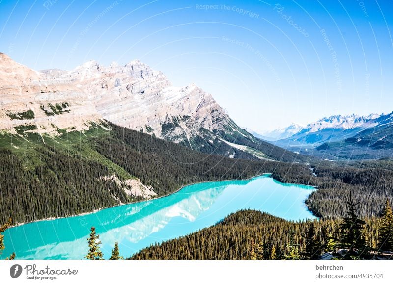 wasserfarben Bergsee Reflexion & Spiegelung Wolf weite Fernweh besonders Ferne fantastisch Menschenleer Alberta Banff National Park Tourismus