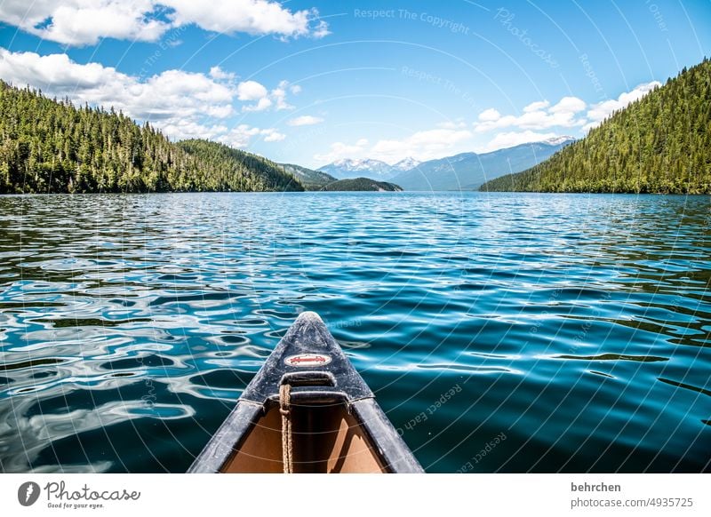 eine bootsfahrt Idylle entspannen genießen erholsam Erholung British Columbia Abenteuer Freiheit See Kanada Außenaufnahme Natur Nordamerika Landschaft Farbfoto