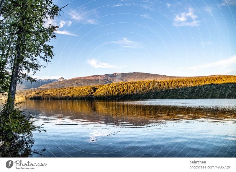 wassergeschichten Wasseroberfläche Clearwater Lake Himmel Ferien & Urlaub & Reisen Wald Ferne Kanada erholsam genießen See Landschaft Fernweh Bergsee