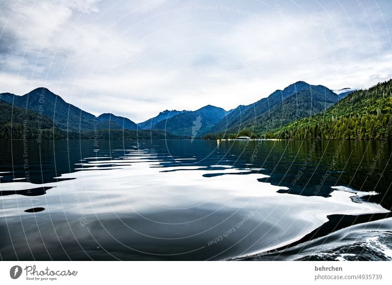 tiefe Ferien & Urlaub & Reisen Außenaufnahme Vancouver Island Fernweh fantastisch Farbfoto Nordamerika Kanada Freiheit Abenteuer Wasser British Columbia Bäume