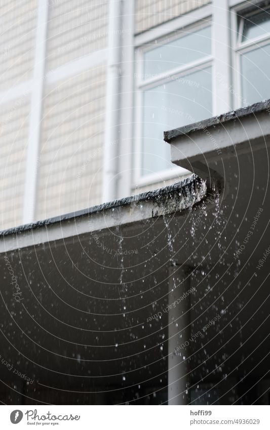 Starkregen auf einer Überdachung in der Stadt Regen Regentropfen nass Klimawandel Wassertropfen Wetter Tropfen schlechtes Wetter Regenblasen feucht heftig