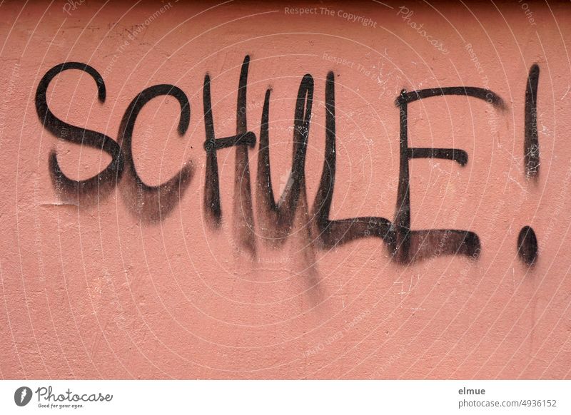 SCHULE ! steht in schwarzer Schrift an einer altrosa Wand Schule Graffiti Hauswand Bildung Mitteilung Fassade Schmiererei sprayen Kreativität Straßenkunst