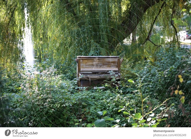 Klavier im Grünen Natur frei Freiheit Musiker Musikinstrument Tasteninstrument alt Holz Wald Klaviatur Freizeit & Hobby musizieren Klavier spielen Konzert