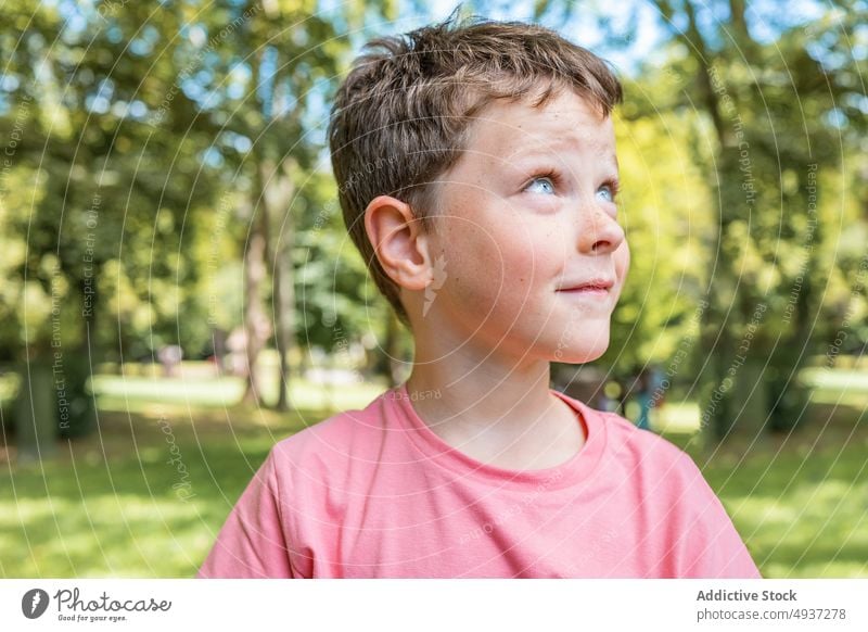 Junge betrachtet die Sonne im Park Sonnenlicht Sommer Wochenende Rasen Baum üppig (Wuchs) tagsüber sonnig Kindheit lässig sonnenbeschienen T-Shirt Saison