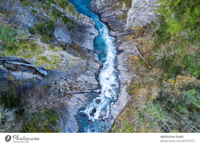 Schneller Fluss im Herbstwald schnell Wald Hochland Landschaft Wasser Berge u. Gebirge fließen Saison Natur strömen fallen malerisch Gelände Waldgebiet reißend