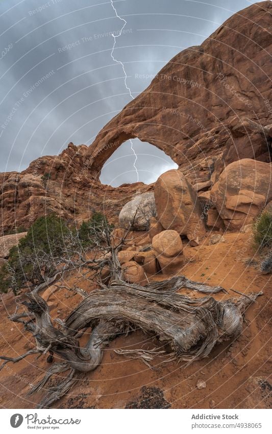 Treibholz in der Nähe eines natürlichen Bogens während eines Gewitters Stein Blitze Himmel wolkig grau wüst Fensterbogen Arches National Park Moab Utah USA