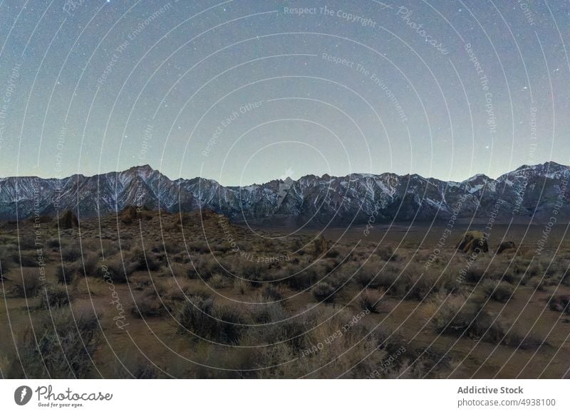 Berge und Trockental vor Sternenhimmel Tal Berge u. Gebirge Buchse Nacht Himmel sternenklar Kamm trocknen Landschaft einsame Kiefer Alabama Hills Kalifornien