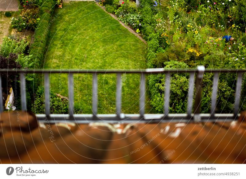 Blick vom Dachfenster in den Garten ast baum blühen blüte dunkel erholung erwachen ferien garten hecke himmel kleingarten kleingartenkolonie nachbarschaft nacht