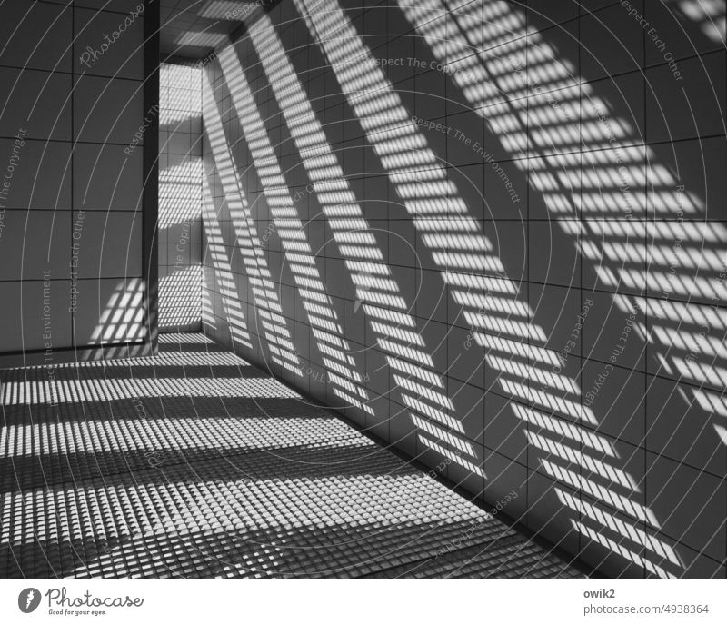 Unruheraum Raum Innenraum gekachelt vergittert Gitter Absteige Wand Licht Sonnenlicht Schatten diagonal schräg parallel Sicherheit Schutz Menschenleer