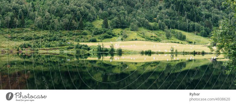 Jolster, Sogn Og Fjordane, Norwegen. Schöne Sommer Feld Landschaft mit Heuballen während der Ernte. Ackerland und landwirtschaftliche Landschaft reflektiert in Wasser Haheimsvatnet See im Sommer Tag. Panorama