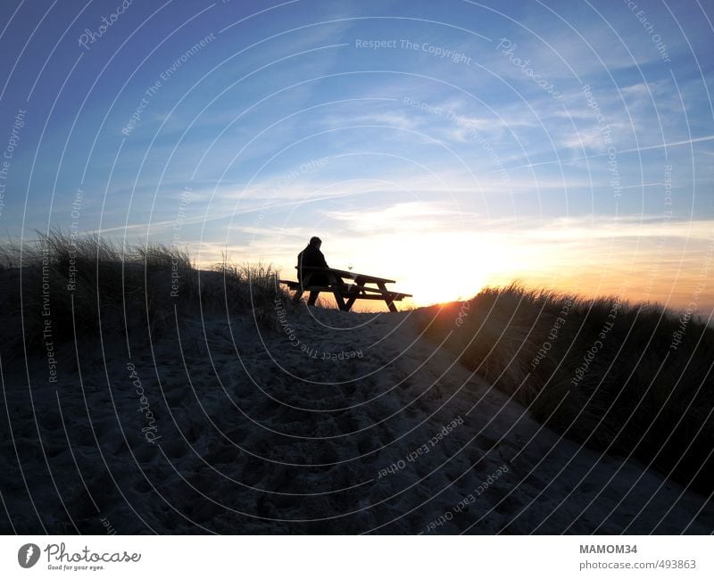 Von Dänemarks Abendsonne geküsst... ruhig Ferne 1 Mensch Sand Himmel Sonnenaufgang Sonnenuntergang Schönes Wetter Küste Strand Düne Dünengras Erholung genießen