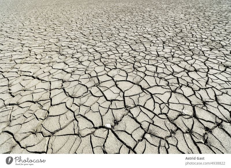 Der ausgetrocknete rissige Grund eines See bei starker Hitze und wenig Regen see trocken leer gewässer dürre trockenheit hitze wärme sommer risse schlamm