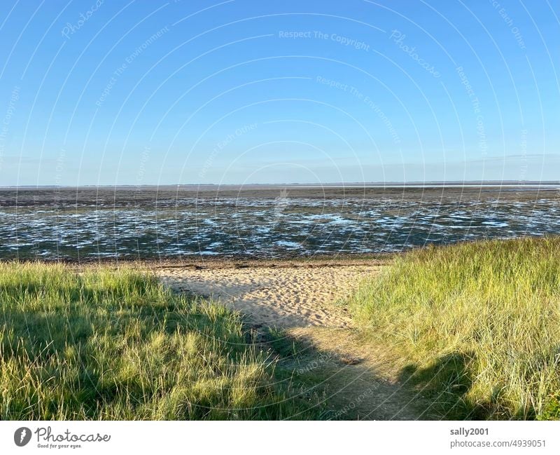 Ebbe im Wattenmeer Gezeiten Nordsee Amrum Föhr Strand Sand Schlick Meer Küste Insel Ferien & Urlaub & Reisen Sommer Wattwandern Ebbe und Flut Horizont Weitblick