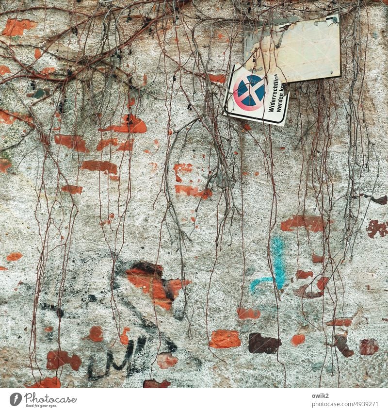 Drunter und drüber Wand Mauer Backstein Zahn der Zeit alt Verfall Ruine schäbig verfallen Farbfoto Außenaufnahme Strukturen & Formen Muster abstrakt Schaden