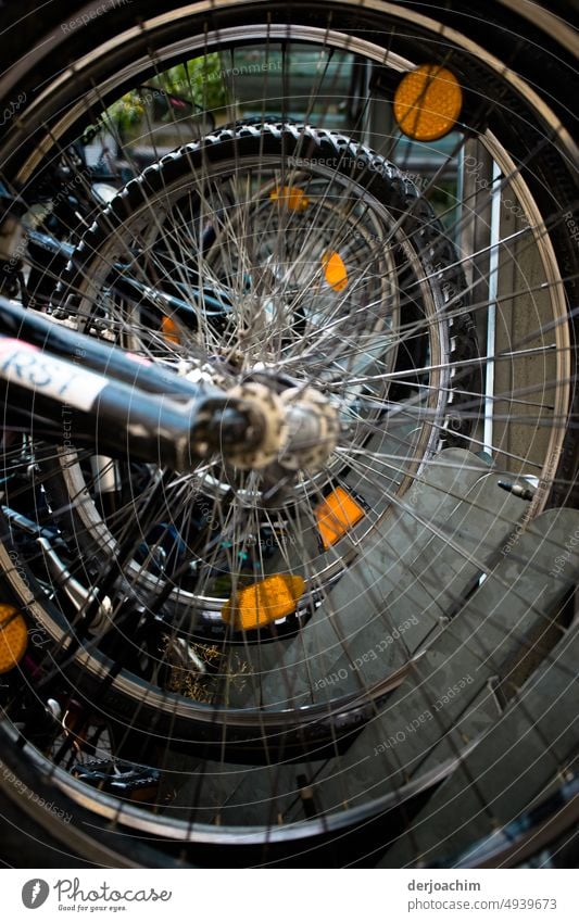 In einer Reihe. Fahrrad Reifen auf dem Ständer ohne Ende.   I Fahrrad Parkplatz parken Menschenleer Fahrradständer Farbfoto Tag Rad Außenaufnahme Mobilität