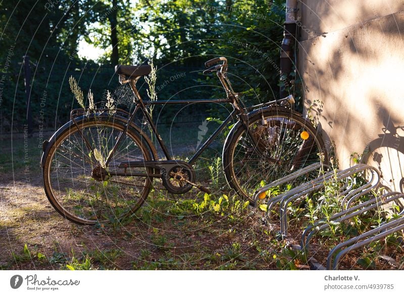 Altes Fahrrad im Abendlicht Fahrradständer Verkehrsmittel Farbfoto Mobilität Rad Außenaufnahme umweltfreundlich Menschenleer parken Freizeit & Hobby Bewegung