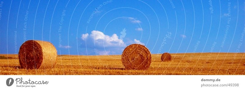 natur pur Feld rund Sammlung Wolken Sommer 3 Würzburg weiß braun gelb Stroh Natur Strohballen Sonne