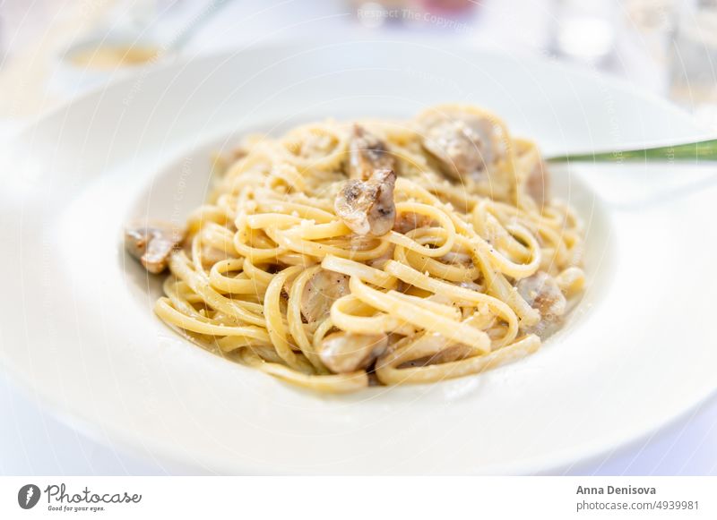 Spaghetti mit Champignons Pilz Spätzle Käse Teller Parmesan Lebensmittel Mahlzeit lecker Italienisch Küche Saucen Nudeln mit Pilzen Gesundheit Speise mediterran