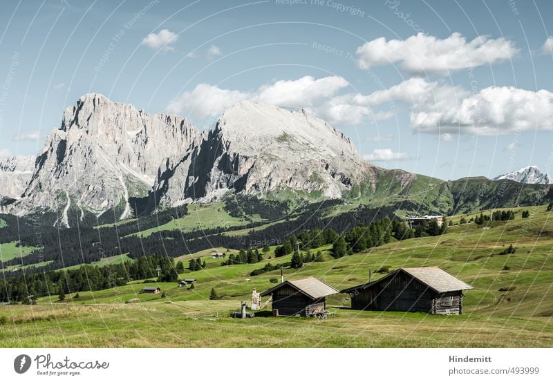 Steine im Vorgarten (3) – und Schluss Umwelt Natur Landschaft Himmel Wolken Sommer Wetter Schönes Wetter Wiese Wald Hügel Felsen Alpen Berge u. Gebirge Gipfel