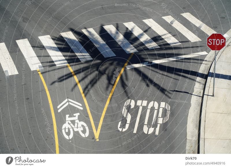 Schatten eine Palme auf einem Zebrastreifen in Long Beach, Kalifornien Straße Stoppschild Stopschild Fahrrad Symbole & Metaphern Fahrradweg Fahrradspur