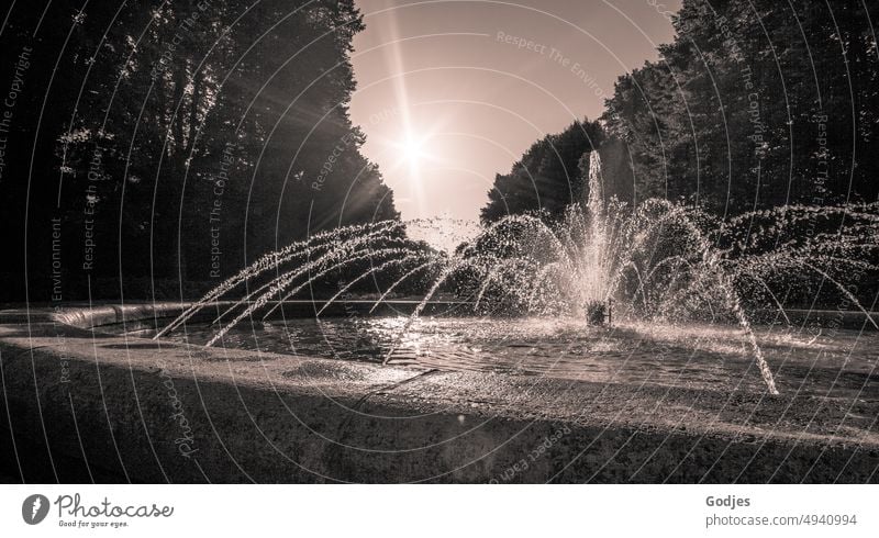 Brunnen mit Springbrunnen, Bäumen und Himmel mit Sonnenstern im Hintergrund Wasser Natur Sonnenlicht Schwarzweißfoto Außenaufnahme Sonnenstrahlen Umwelt