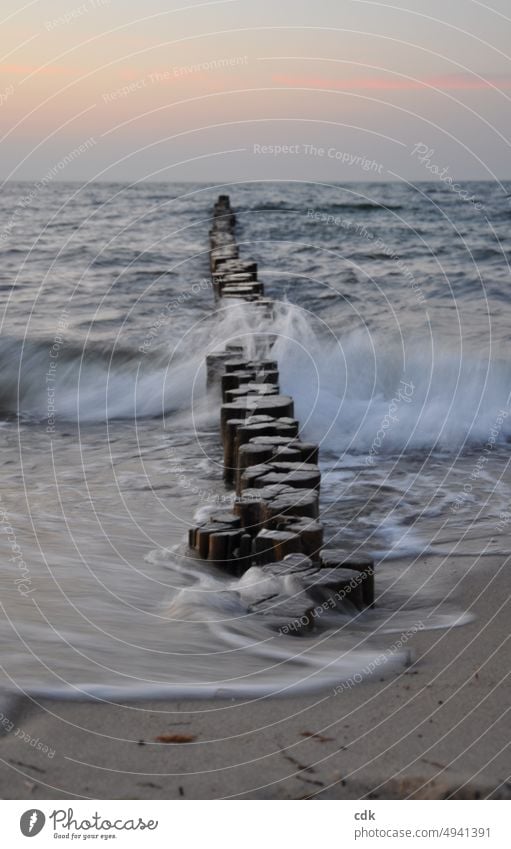 Buhnen an der Ostsee bei Sonnenuntergang | die Welle bricht. Wellenbrecher Holz Meer Wasser Gischt natürlich Natur Naturgewalt Strand Sand Himmel Horizont