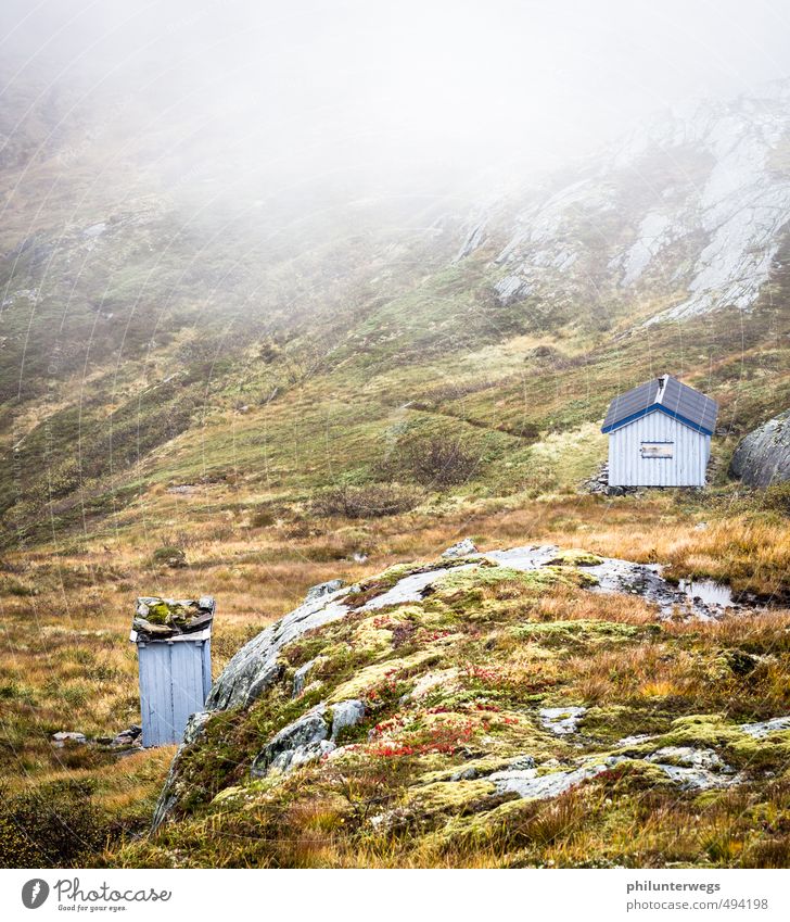 Einmal quer über den Flur wandern Umwelt Natur Landschaft Pflanze Klima Wetter schlechtes Wetter Nebel Regen Gras Moos Hügel Felsen Berge u. Gebirge Moor Sumpf