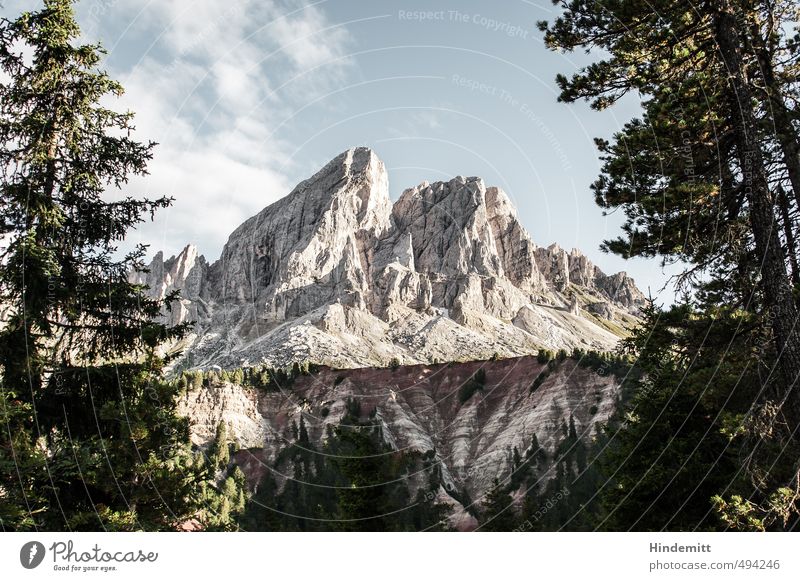 Peitlerkofel [landscape] Urelemente Erde Luft Himmel Wolken Sommer Schönes Wetter Baum Wald Hügel Felsen Alpen Berge u. Gebirge Gipfel Dolomiten Stein stehen