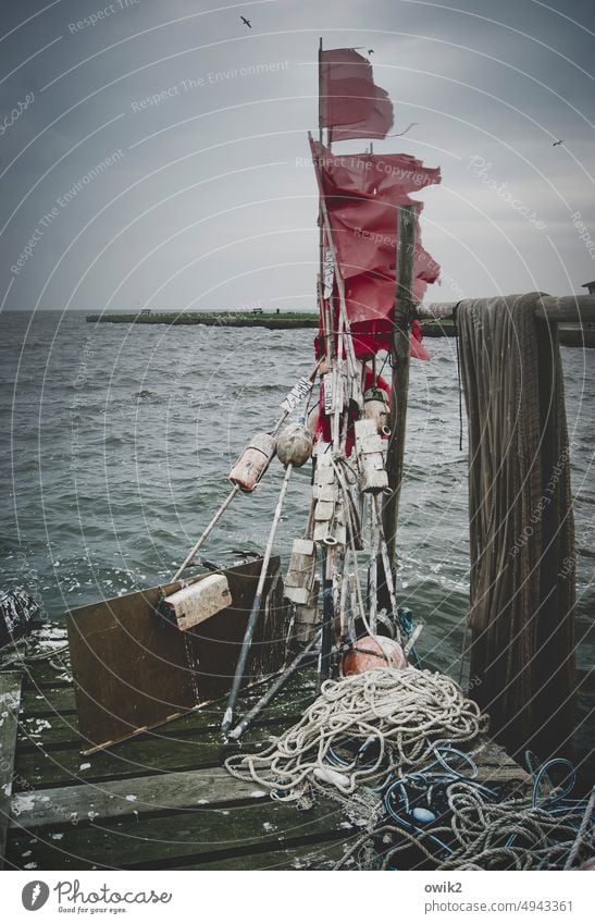 Wimbeldon wehen flattern Wind Zeichen rot Außenaufnahme Tag Hafen Ostsee Küste Horizont Menschenleer Fähnchen Bewegung wild Mecklenburg-Vorpommern Seezeichen