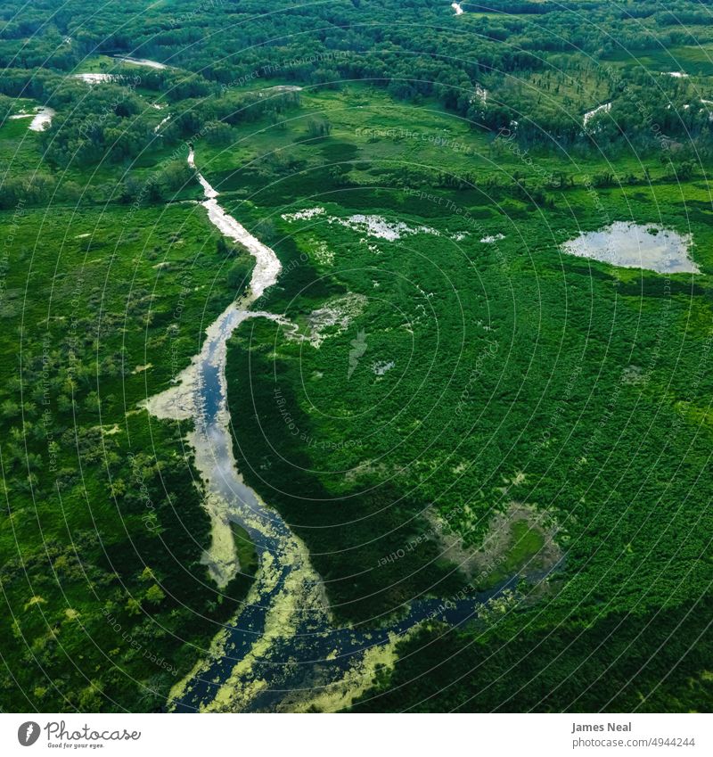 Natürliche Wildnis in Wisconsin abseits des Menschen Gras Lebendige Farbe natürlich Wälder Wasser Tag Wiese Hintergrund Waldgebiet Bäume Sommer wild Baum