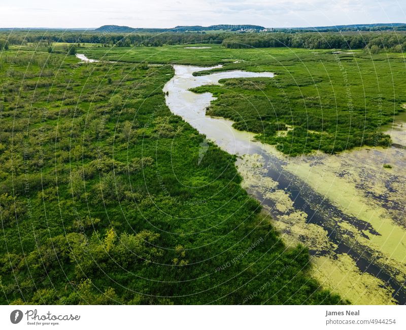 Natürliche Wildnis in Wisconsin abseits des Menschen Gras sonnig natürlich Wälder Wasser Tag Wiese Hintergrund Waldgebiet Bäume Sommer wild Baum Himmel Umwelt