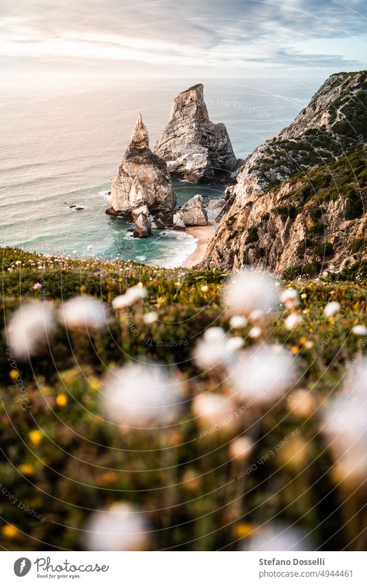 Blick auf den Sonnenuntergang am majestätischen Strand von Praia da Ursa, Portugal Cabo da Roca Klippe Wolken Küste Küstenlinie Europa Bereiche Blumen Insel