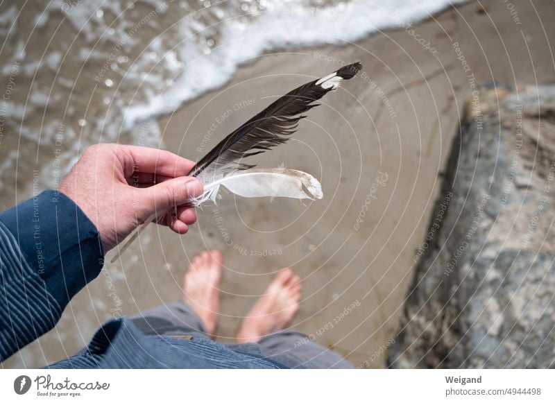 Federn in der Hand am Strand mit Blick nach unten auf die Füße im Wasser Achtsamkeit Urlaub Strandurlaub Ostsee Meer Nordsee Norddeutschland Schleswig-Holstein