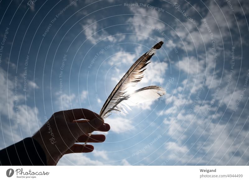 Eine Hand streckt Federn der Sonne entgegen Hände Sonnenlicht Gegenlicht Himmel Sommer Gefühl Poesie Leben Achtsamkeit Entspannung Ruhe Stille bewölkt