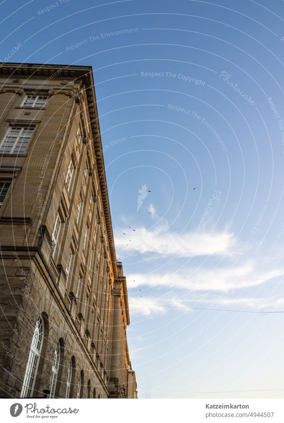 Blick nach oben Straße Himmel Blauer Himmel Wolken Sommer blau himmelblau Schönes Wetter Sonnenlicht Licht Warmes Licht Haus Fenster Ansicht hoher Winkel