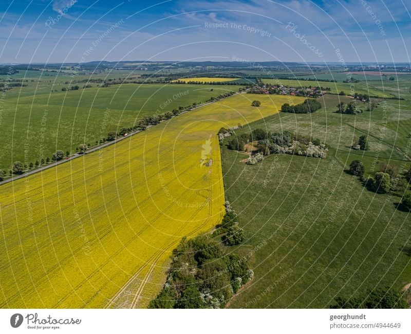 Rapsfahrt 3 | Schlag mit Raps, verschiedene Felder, Mecklenburgische Landschaft aus der Luft im Mai Rapsfeld Frühsommer Energiewende Unterwegs Natur Gegend