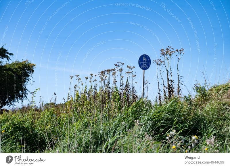 Verkehrsschild hinter einer Wiese mit Blumen bei blauem Himmel Fußgänger Radfahrer Blauer Himmel Blumenwiese Sommer Ostsee Ausflug Wandern spazieren Achtsamkeit