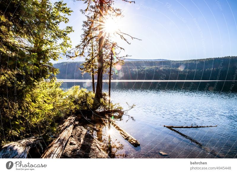 *4 6 0 0* sterngeschichten Einsamkeit friedlich Kindheit Sohn stille British Columbia Natur Idylle Abenteuer Nordamerika Freiheit Bergsee Fernweh Landschaft See