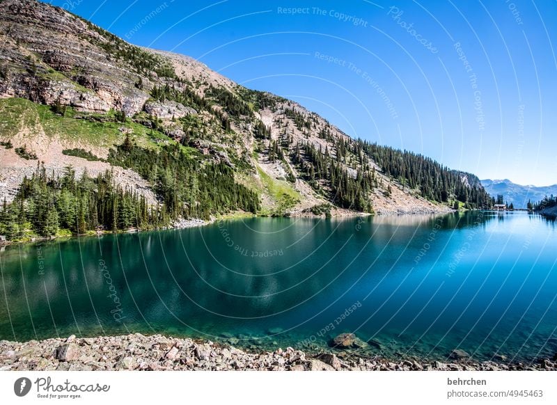 am blausten Ferien & Urlaub & Reisen Tourismus fantastisch Farbfoto Nordamerika Rocky Mountains Natur Außenaufnahme Kanada Berge u. Gebirge See Landschaft