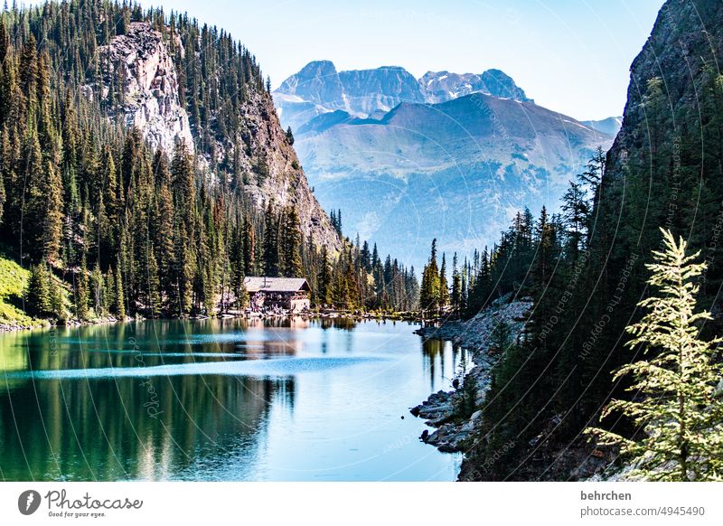 wunderwelt Alberta See Abenteuer Landschaft Berge u. Gebirge Kanada Außenaufnahme Natur Rocky Mountains Nordamerika Farbfoto fantastisch