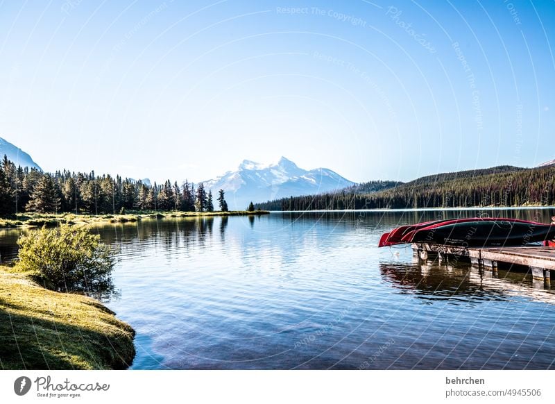 kanada Maligne Lake Rocky Mountains See Fernweh Ferien & Urlaub & Reisen Wald Ferne Kanada Abenteuer Natur Landschaft Nordamerika Himmel Alberta Wasser Seeufer