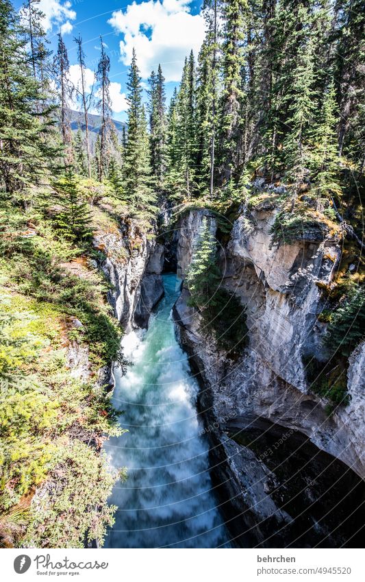 schaumbad Felsen Flußbett Schlucht Felswand Wald Nordamerika Kanada Ferien & Urlaub & Reisen Fernweh fantastisch Landschaft beeindruckend Abenteuer Natur Wasser